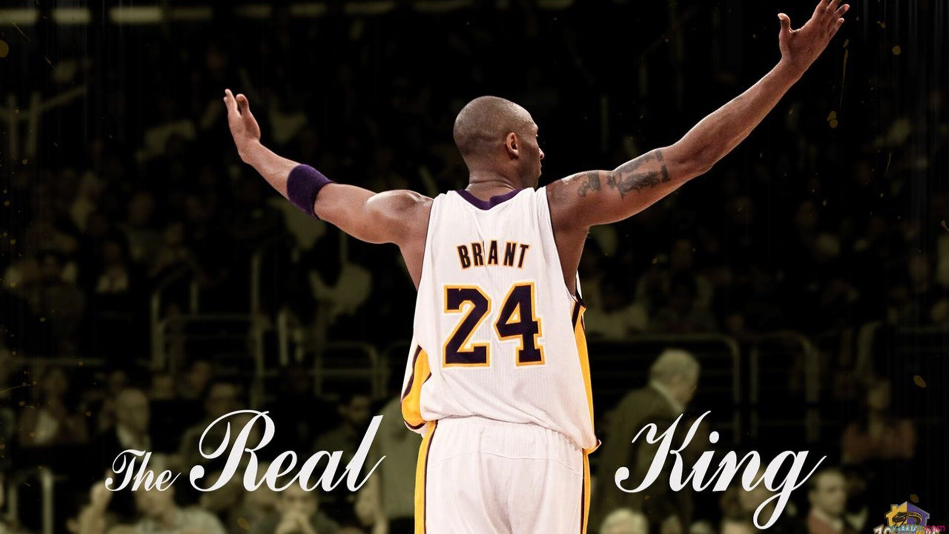 xingkong app-快船战术升级球队协作明显提升，快船的战术