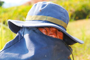 星空体育app下载-加拿大七人制橄榄球明星球员赛场表现活跃，加拿大橄榄球与美式区别